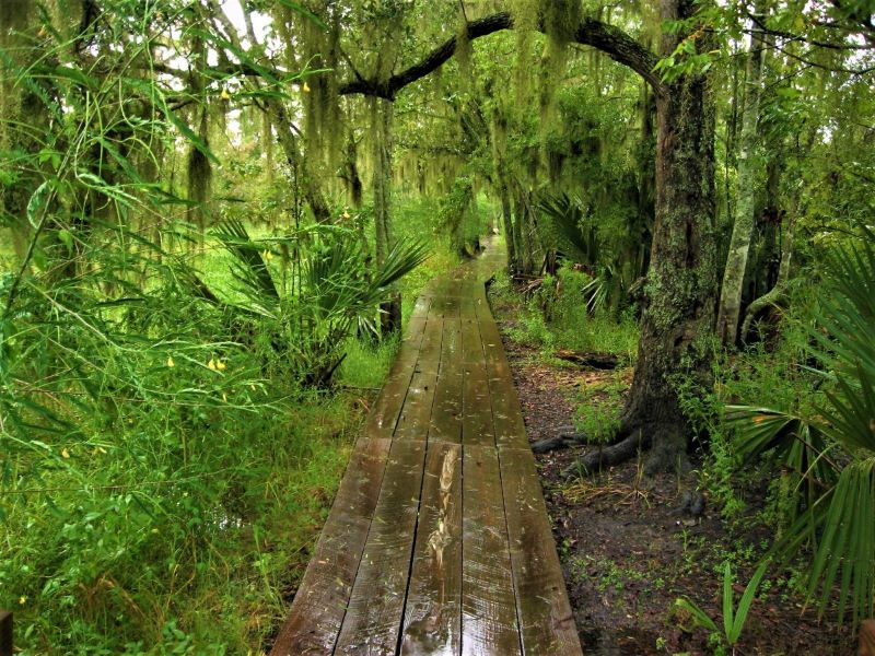 Barataria Preserve Jean Lafitte National Historical Park