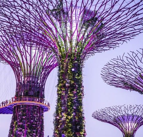 9 Free Things To Do In Sydney, Australia